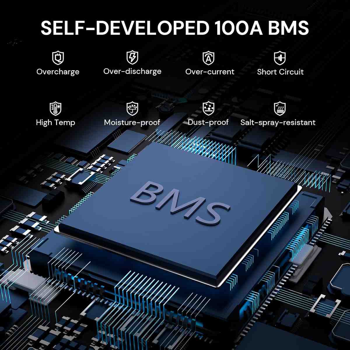 Imagen 2 de Batería de Litio LiFePO4 24V 100Ah Dyness – 2560Wh con BMS Inteligente de 100A