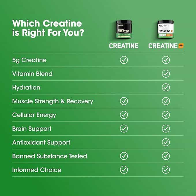 Imagen 3 de Optimum Nutrition Monohidrato de creatina micronizada en polvo