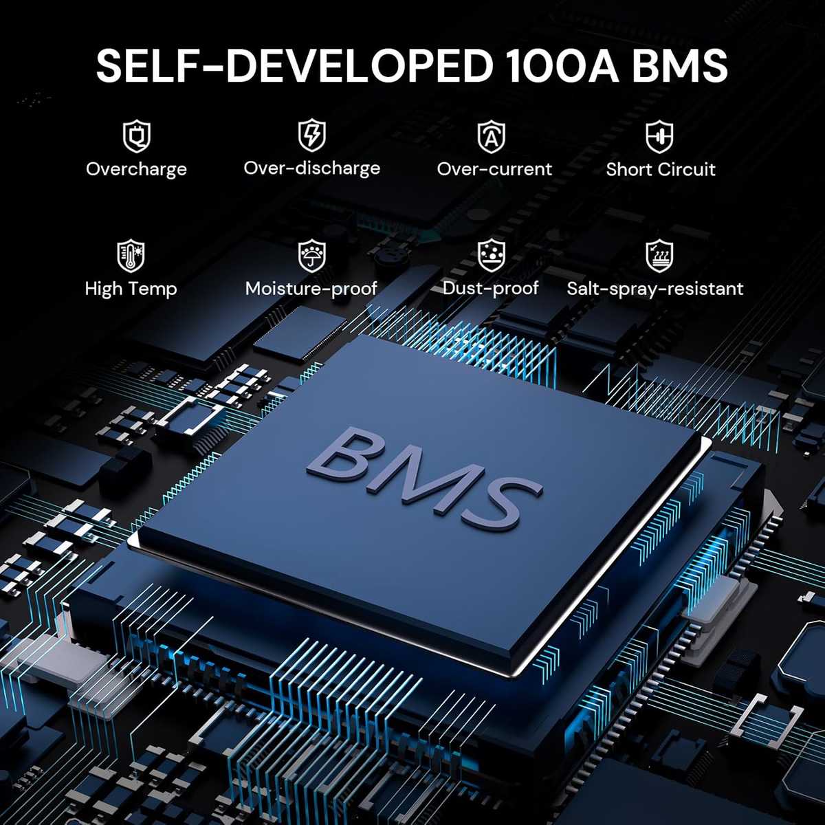 Imagen 2 de Batería de Litio LiFePO4 24V 100Ah Dyness – 2560Wh con BMS Inteligente de 100A
