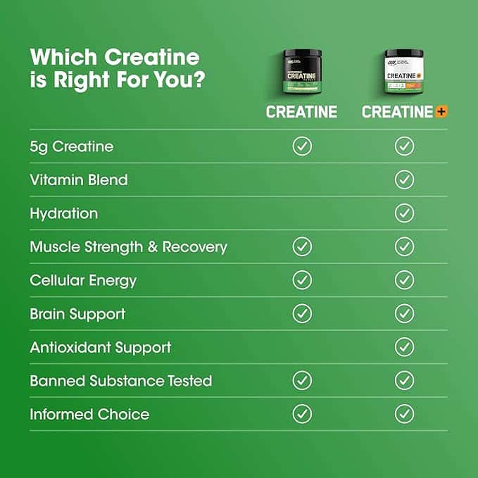Optimum Nutrition Monohidrato de creatina micronizada en polvo - Vista 4