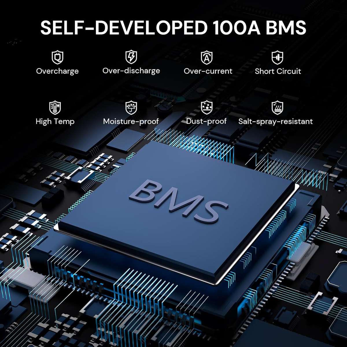 Batería de Litio LiFePO4 24V 100Ah Dyness – 2560Wh con BMS Inteligente de 100A - Vista 2