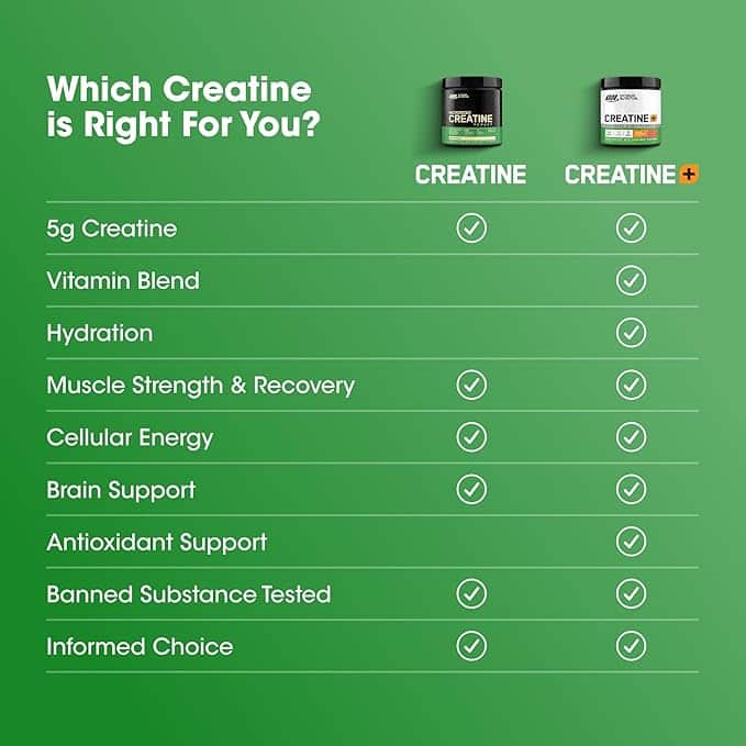 Imagen 3 de Optimum Nutrition Monohidrato de creatina micronizada en polvo