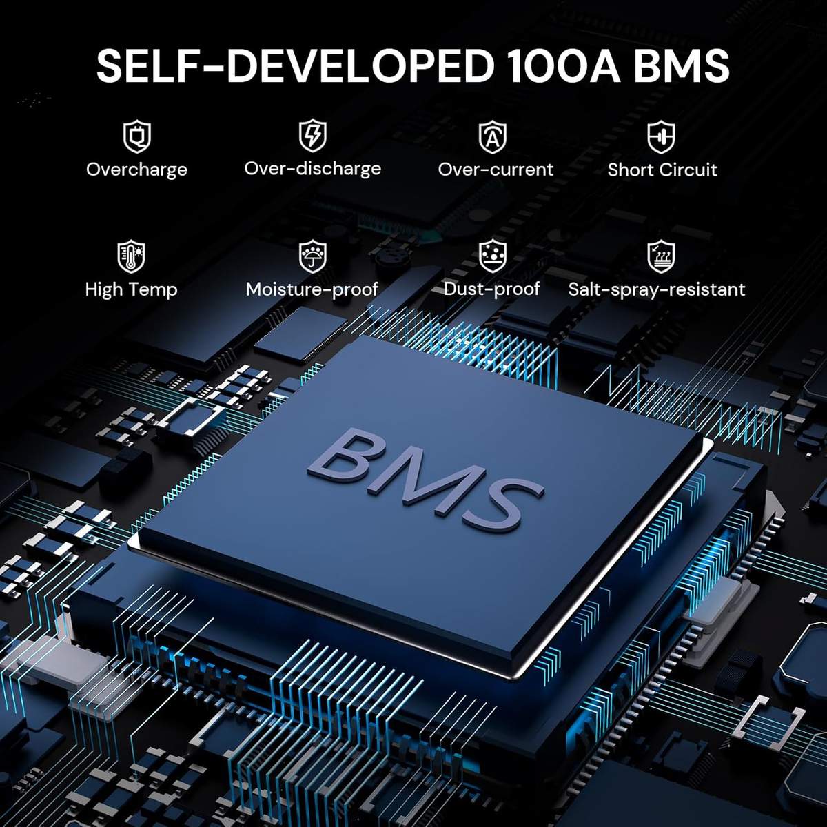 Imagen 2 de Batería de Litio LiFePO4 24V 100Ah Dyness – 2560Wh con BMS Inteligente de 100A